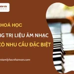 Khóa học Ứng dụng trị liệu âm nhạc cho trẻ có nhu cầu đặc biệt (Khai giảng 05/07/2025)